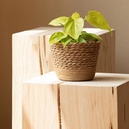 Vaso De Flores Rattan Tecido Artesanal Casa da Clara